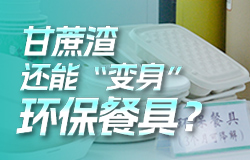 甘蔗渣还能“变身”环保餐具？在广西来宾，甘蔗渣都成了“香饽饽”，利用率达到100%。
