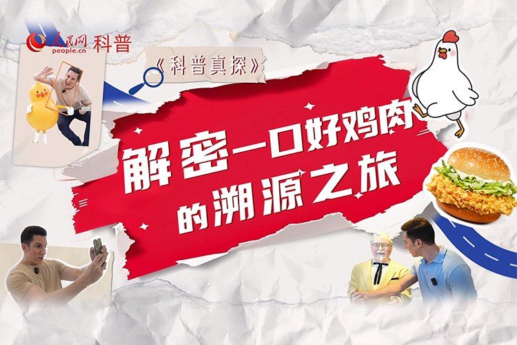 科普真探：一口好鸡肉的“养成密码”